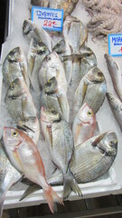 pescaderia