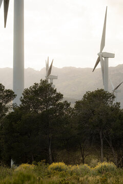 Soft light bathes windmills in a natural park eolic setting, embodying environmental and green energy virtues in a tranquil landscape