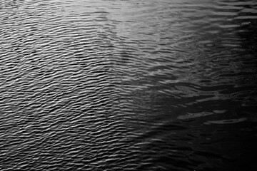 Monochrome shot of water ripples in a pond