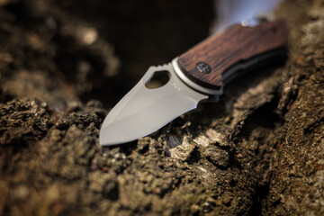 military tactical knife on tree in the forest