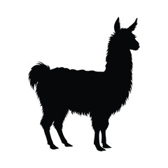silhouette of  illustration of a llama © Ismail Hossain