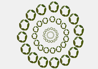wreath of green leaves In White Background . Cirlce Of Green Leaves . Cirlce In White Background 