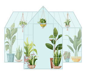 Houseplant and macrame plant growing in hothouse. Greenhouse and macrame plants isolated on white background. Cartoon flat illustration.