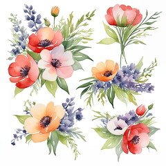 Sunflower - Watercolor Flower Closeup isolated on white background