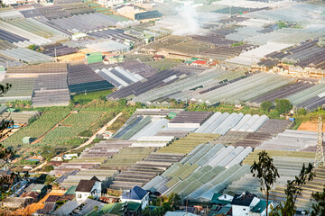 View Of Greenhouses And Mountain In Da Lat, Vietnam. Greenhouse Expansion Damages Da Lat's Environment.