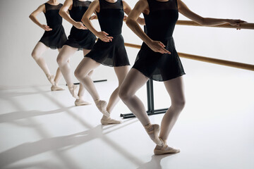 Practicing plie. Cropped image of ballerinas in black costumes and pointe shoes, training at barre...