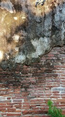 old brick wall with moss