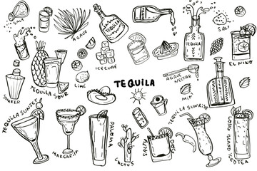 Tequila, cocktails based on it, agave hand drawn set. Vector illustration isolated on white background. For packaging, wall art, posters, branding,  magazines, book cover, blogs,  business, social
