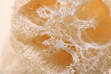 Natural loofah sponge as background, closeup view