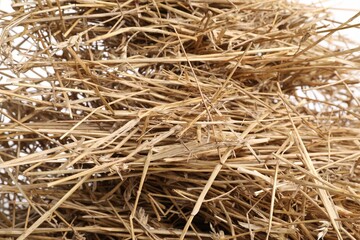 Dried straw on white background, closeup view