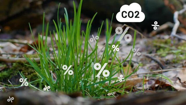 The concept of reduce co2 emission using clean energy and reduce climate change problem with relate icon on green environment background