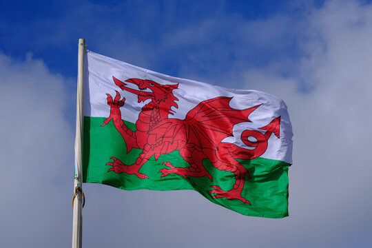 Welsh national flag flying on a breezy day