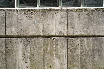 Pared de hormigón y ladrillos de cristal