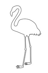 flamingo outline illustration isolated on white background. Minimalistic line art for design and print. Wildlife and elegance concept.