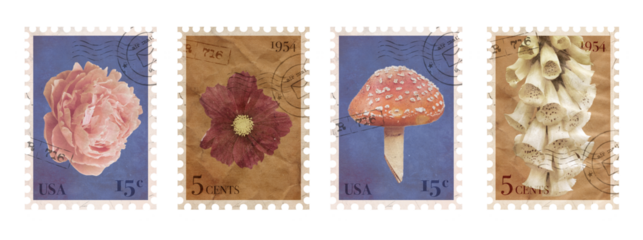 Vintage Nature Postage Stamp Collection. Mushroom, Flowers, and Floral Post Elements. Aesthetic cutout Scrapbooking elements for wedding invitations, notebooks, journals, greeting cards