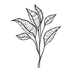 Verdant Serenity: Leafy Branch Illustration
