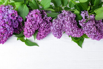 Blooming lilac flowers (syringa vulgaris) on white rustic wooden table. Top view banner with copy...