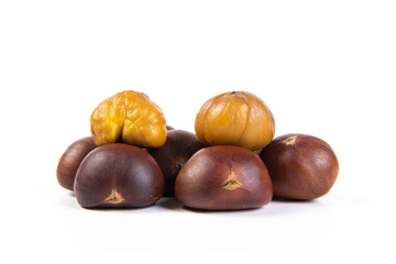 roasted peeled chestnut isolated on white background.