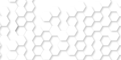 Background with hexagons . Abstract background with lines . white texture background . hexagon abstract background. Surface polygon pattern with glowing hexagon paper texture and futuristic business.