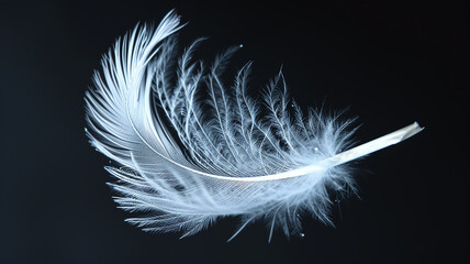 Naklejka premium White fluffy bird feather on a black background close-up