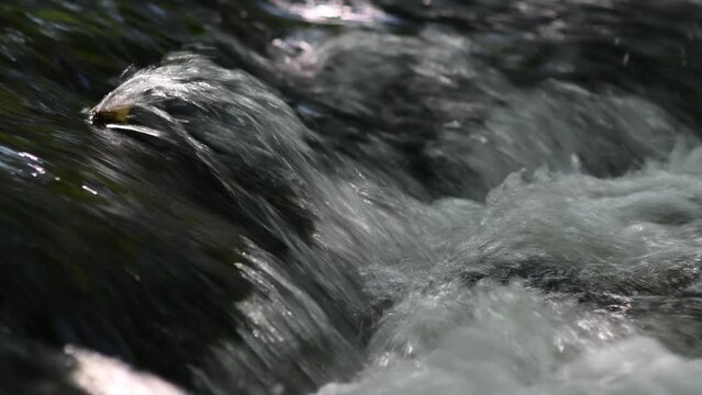 Streams of water splashing on a waterfall on a river