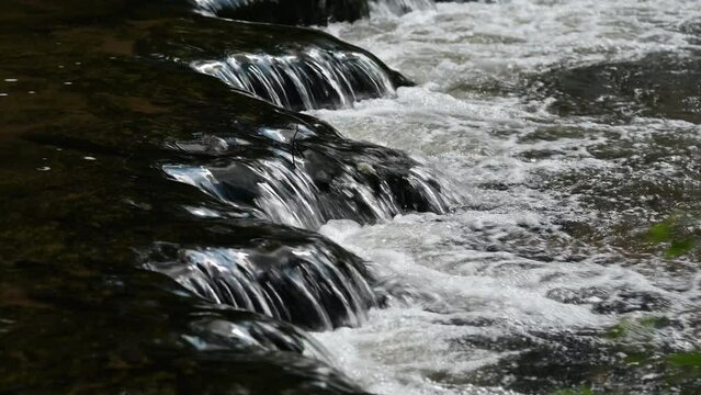 Stone picturesque water rapids on a slowly flowing river in a nature reserve