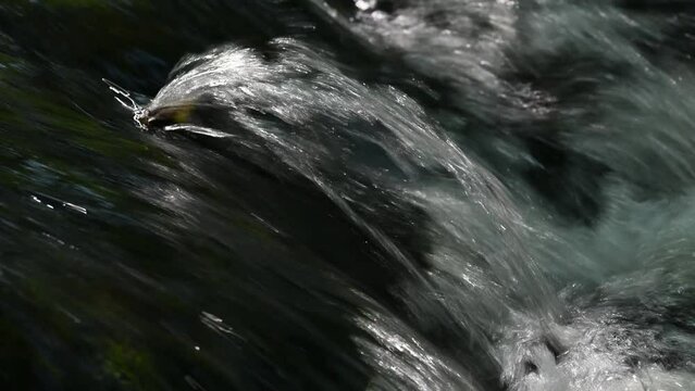 Streams of water splashing on a waterfall on a river