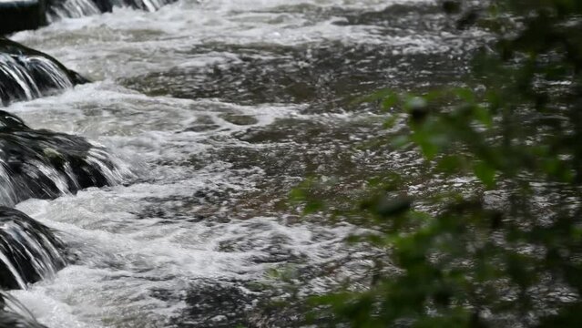 Panning of stone picturesque water rapids on a slowly flowing river in a nature reserve.