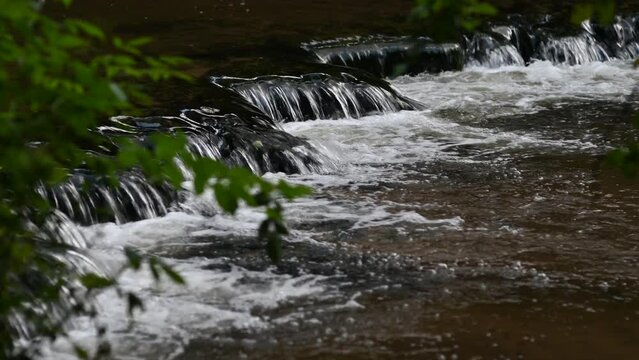 A series of water rapids on a wild stream.