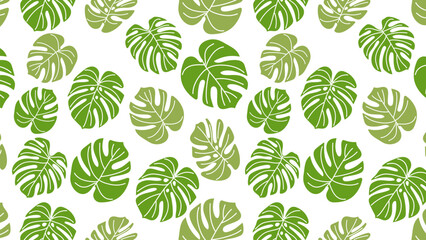 Seamless pattern with monstera leaves. Exotic background.
