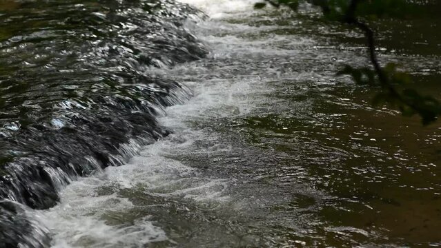 A water threshold on the river in the shade of trees
