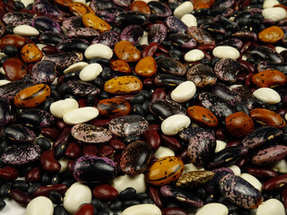 Mixture of assorted beans of different varieties, colorful natural texture background
