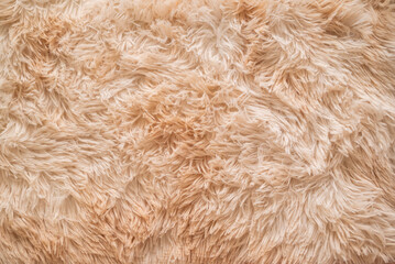 Background picture of a soft fur beige carpet. wool sheep fleece close up texture background. Fake...
