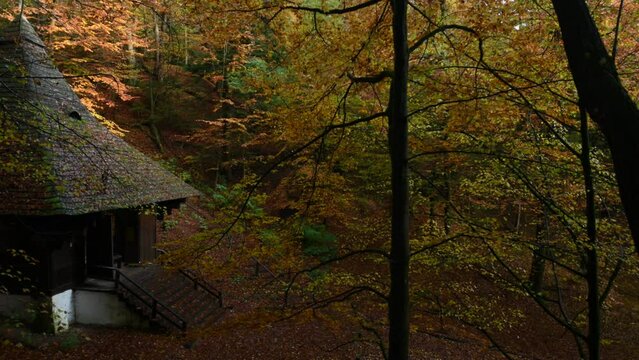 Bathed in autumn's golden light, the chapel of St. Roch in Krasnobr&oacute;d shines radiantly amidst the vibrant foliage, a serene haven under the sunny skies.