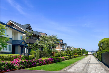 ツツジと新緑が青空に映える明るい住宅街