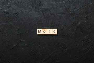 Mold word written on wood block. Mold text on table, concept