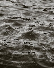 Deep dark water background, grayscale