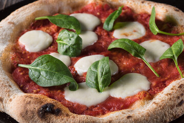 Sliced ​​margherita pizza with basil on a black plate. Side view, close up.