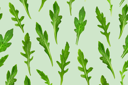 Seamless pattern of fresh arugula or rucola salad leaves isolated on light green background. Healthy food concept