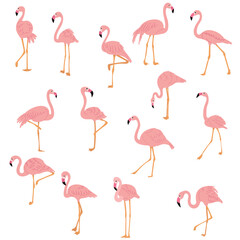 Obraz premium flamingo pink set, collection on white background vector