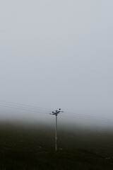 Minimalist moody sky background, foggy day in Scotland