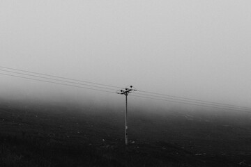 Minimalist moody sky background, foggy day in Scotland