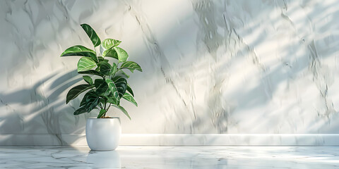 Light background with blurred foliage shadow and marble floor ideal for a stunning presentation. 
