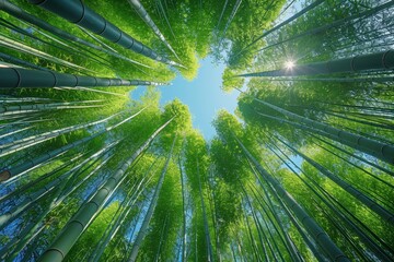 Bamboo Grove: Tall, slender bamboo stalks creating a serene atmosphere. 