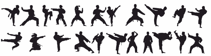 mix martial arts, Kungfu, boxing, karate, kick boxing, jujitsu, taekwondo, sumo, mauy thai. Silhouette vector illustration.  © Pro Silhouettes