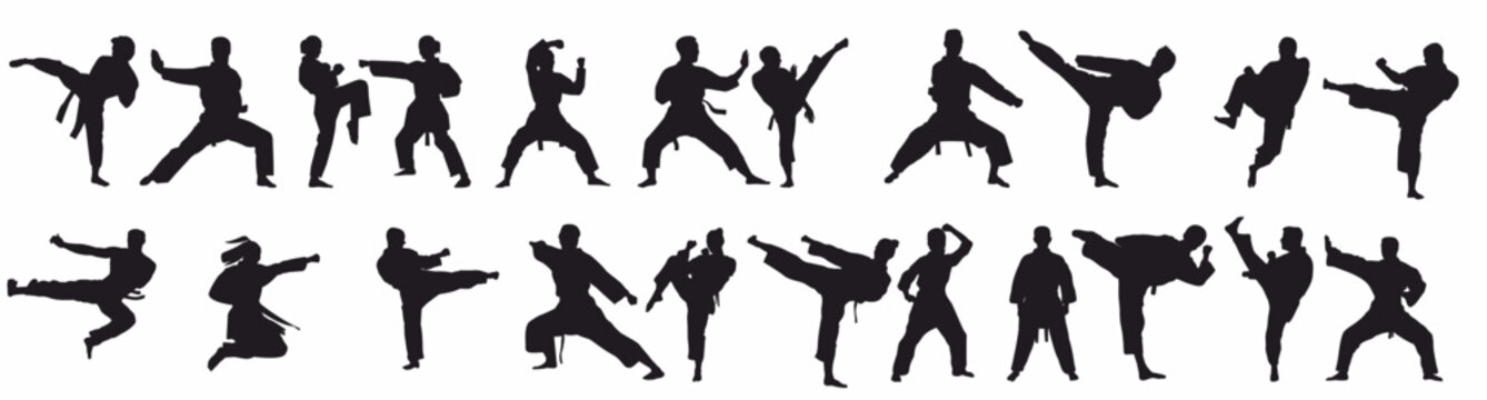mix martial arts, Kungfu, boxing, karate, kick boxing, jujitsu, taekwondo, sumo, mauy thai. Silhouette vector illustration.	