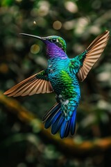 Fototapeta premium Colorful hummingbirds in flight, aiming for vibrant flowers to sip on delicious nectar