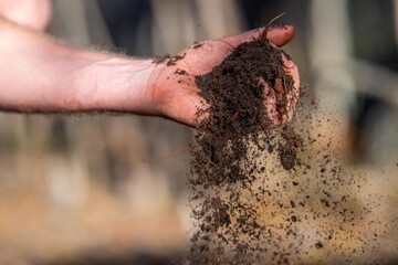 regenerative organic farmer, taking soil samples and looking at plant growth in a farm. practicing sustainable agriculture