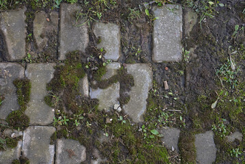 aged stone pavement texture overgrown with grass