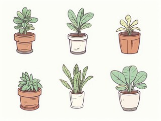 Obraz premium Simple plant arrangement